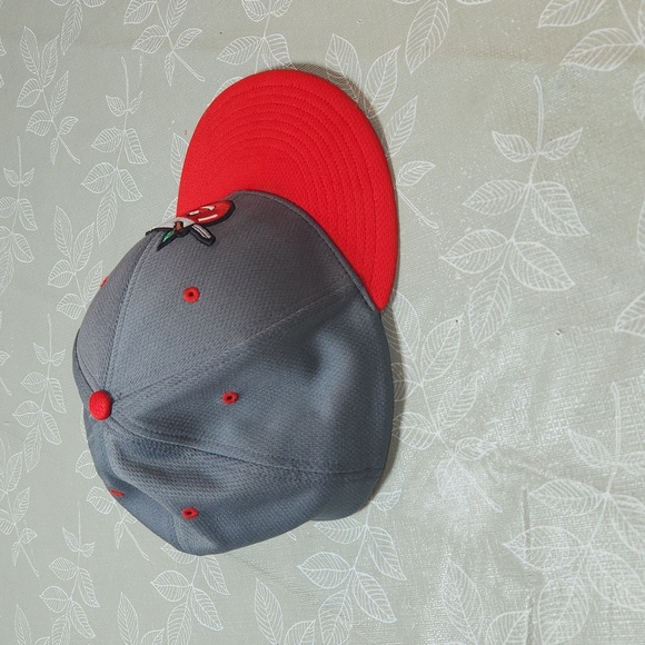 Fort Wayne Tin Caps Hat - Picture 5 of 8